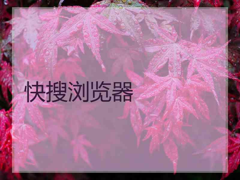 快搜浏览器