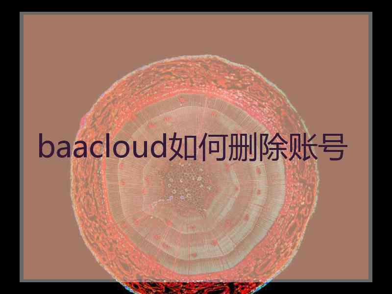 baacloud如何删除账号