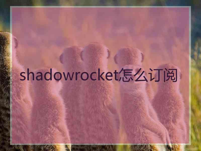 shadowrocket怎么订阅